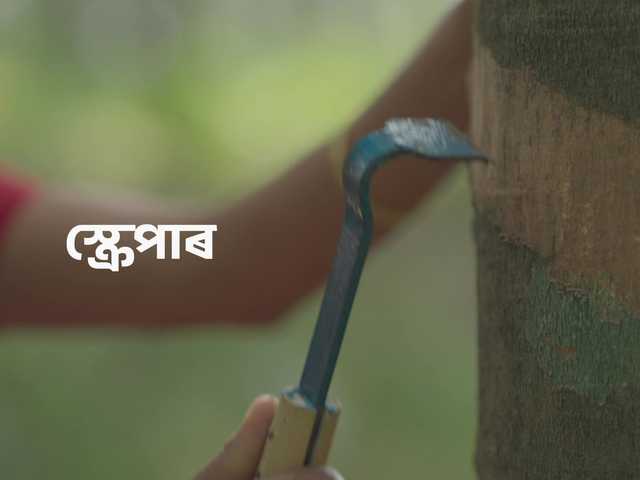 An on-screen tool label in Assamese, one of the regional-language cuts.